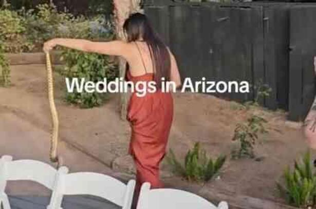 Amerika Birleşik Devletler'inde düğünü basan yılanı elleri ile uzaklaştıran gelinin kız kardeşi, kahraman ilan edildi