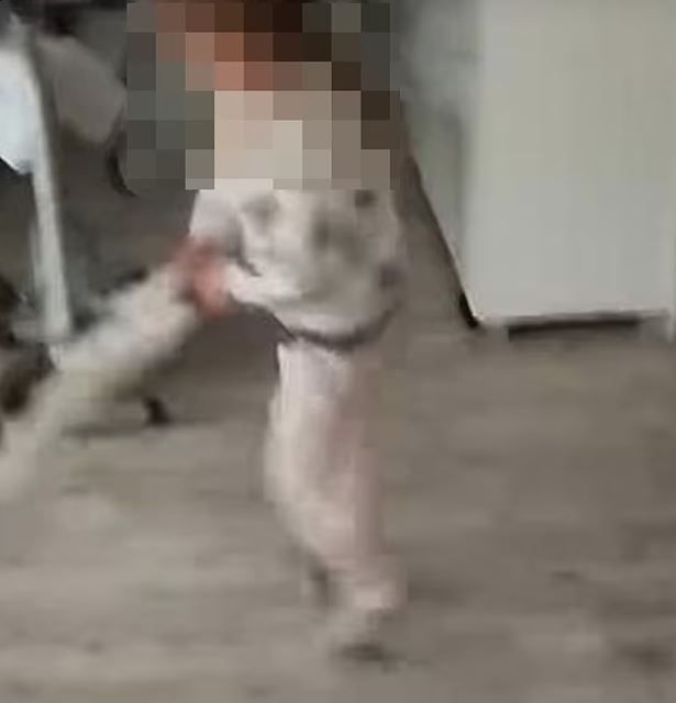 Küçük kız kediye işkence yaptı, annesi gülerek kayda aldı