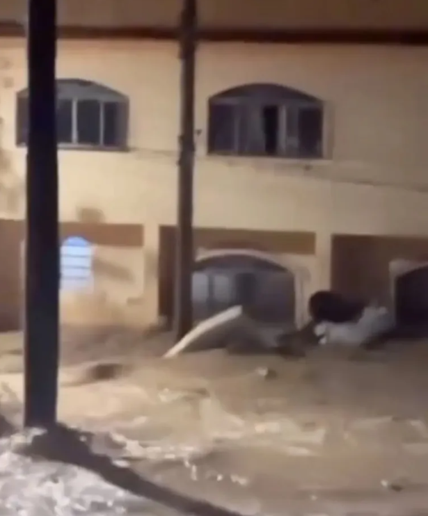 Brezilya'da şiddetli yağmurlar felakete yol açtı: Yüzlerce tabut sokaklarda sürüklendi