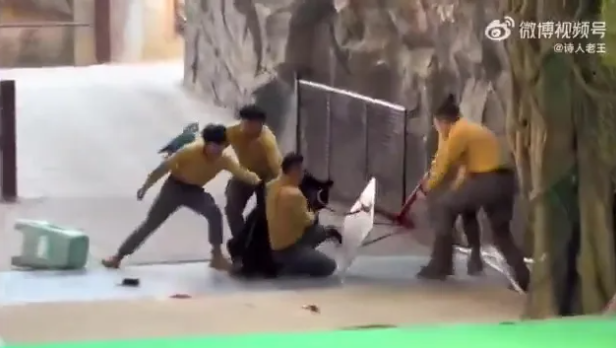 Yiyecek kokusuyla çıldıran ayı bakıcısını ağır yaraladı