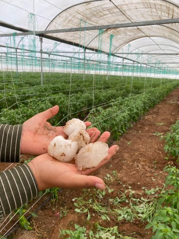Şanlıurfa'da kar topu büyüklüğünde dolu yağdı