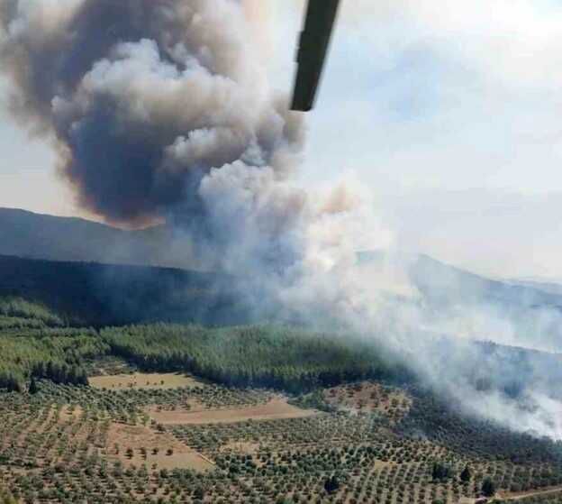 Milas-Bodrum karayolu Havalimanı kavşağında çıkan orman yangınının faili yakalandı