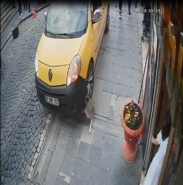 Cezaevindeki 'Mardinli Marilyn Monroe'yla ilgili yeni gelişme