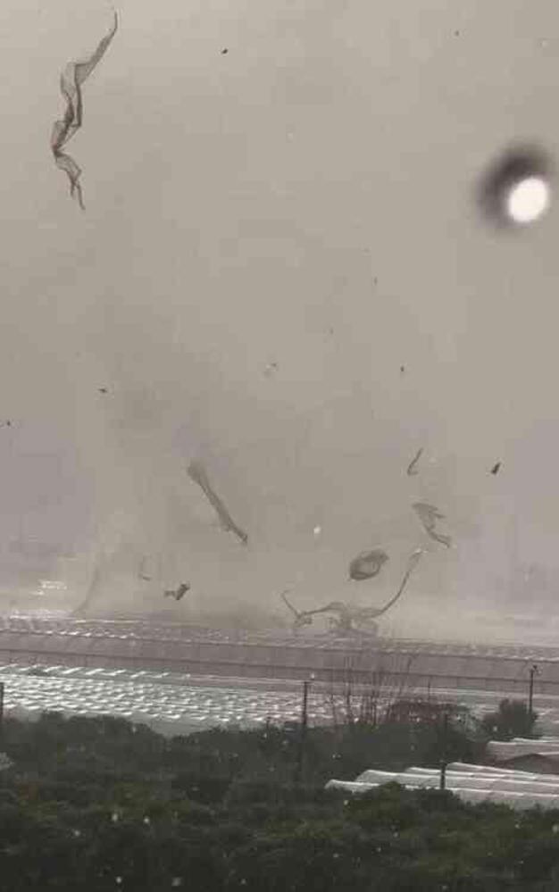 Antalya'daki hortum felaketinde 6 kişi yaralandı, 1000 dönüm sera zarar gördü