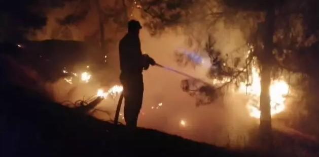 Kahramanmaraş'ta Orman Yangını: 3 Ev Yandı, 18 Ev Tahliye Edildi