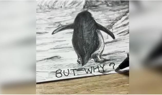 Penguen olayı nedir, Nihilist penguen hikayesi nedir?