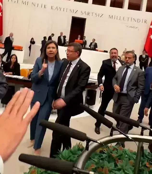 Zeytinliklerin madencilik faaliyetlerine açılmasını öngören kanun teklifi Meclis'te kabul edildi