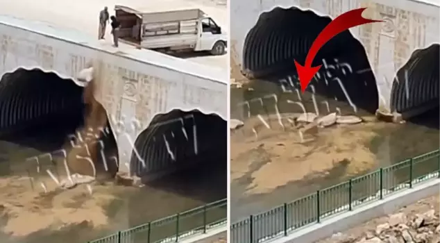 Scandalous scenes in Mardin! They threw the garbage they brought with a truck into the stream.