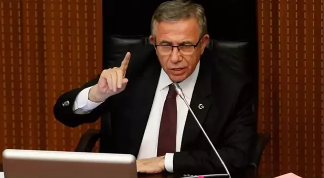هل هو حلا للتعقيم؟ عادت ملاحظة يافا حول الحيوانات الضالة إلى الواجهة مرة أخرى.