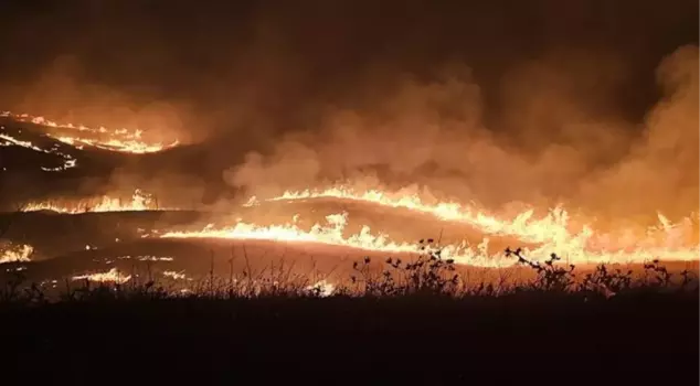 The cause of the fire between Diyarbakır and Mardin, in which 15 people lost their lives, was sparks on the electrical wires.