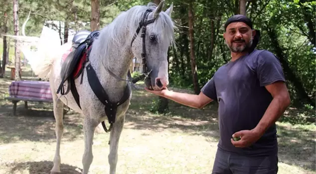 The horse that stands up when 