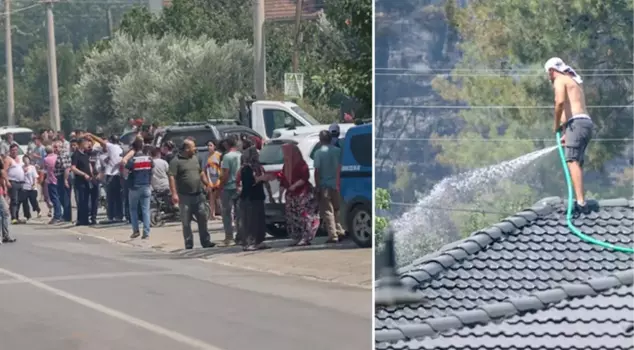 Forest fire in 3 districts in Izmir! 1 neighborhood evacuated, road closed to traffic.