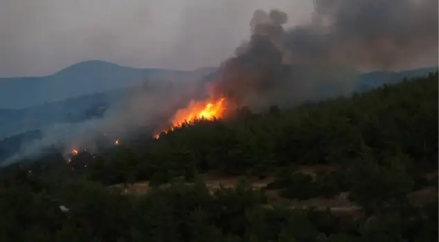 Forest fire in 5 districts of Izmir! Minister Yumaklı in the region.