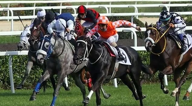 Dragon Flame and jockey Akın Sözen won the 98th Gazi Race.