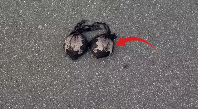 He put the bra he found on the street up for sale on the internet! The amount of money he wants is astonishing.