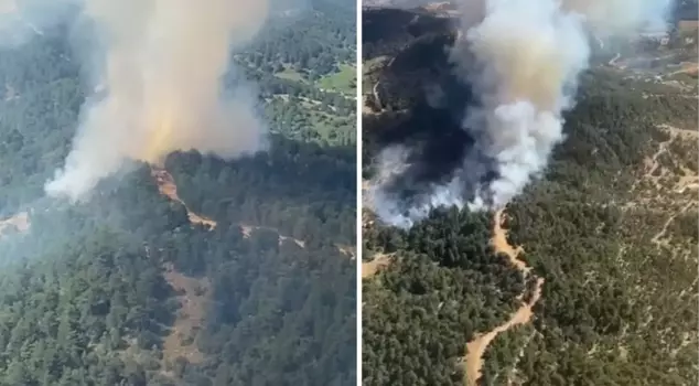 Forest fire in Ödemiş, İzmir! Teams have started a race against time.