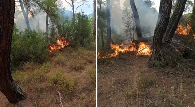 In Muğla, 11 lightning fires broke out in one day.
