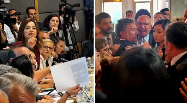 Tension is at its peak during the commission discussions on the stray animal proposal! Inside, there was a heated debate and a scuffle in the corridor.