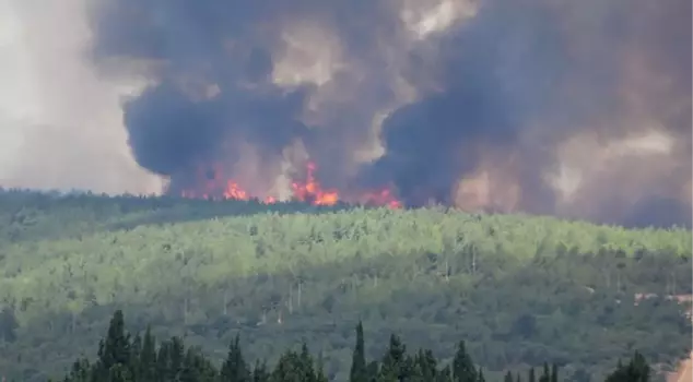 Forest fire in Izmir! The flames approached Adnan Menderes Airport, flights were canceled.