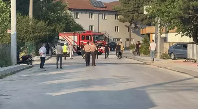 The wires that the bird hit left the neighborhood of 10 thousand people without electricity.