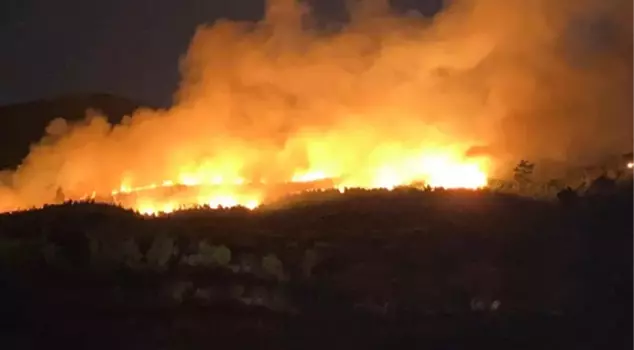 Forest fire alarm in Uşak, Çanakkale, and Balıkesir! Numerous houses have been evacuated.