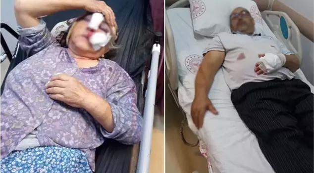 Mother-in-law and father-in-law beat the groom! He ended up in prison.