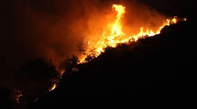 One person has been taken into custody in the fire that has been burning for hours in Urla, Izmir.