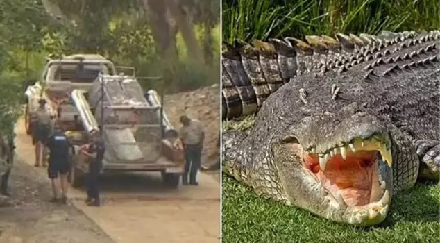 The man fishing in Australia was killed by a crocodile in front of his family.