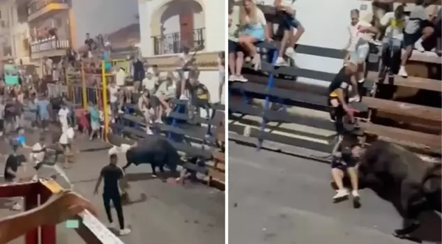 Terrifying incident at bull festival in Spain: Angry bull repeatedly gored the runner.