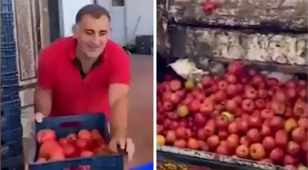 Those who throw away crate after crate of tomatoes didn't make any profit in the end.