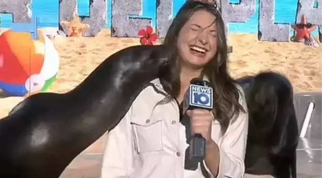 The female reporter who was kissed by sea lions during a live broadcast burst into laughter.