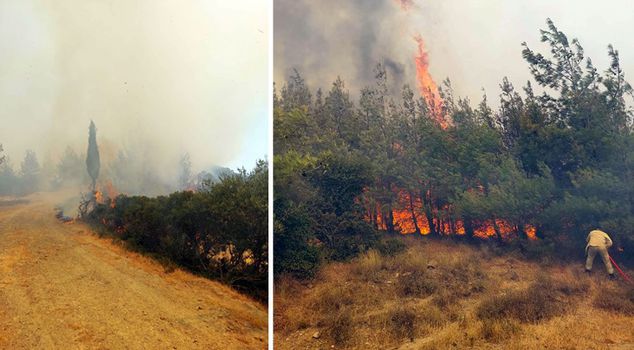 Forest fire in Çanakkale! Martyrdom and Conkbayırı closed for visit.