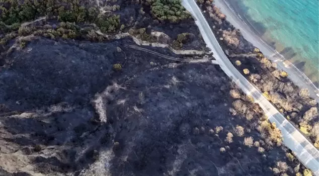 The loss experienced in a day due to a forest fire in Çanakkale was revealed.