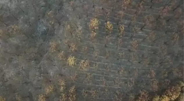 Izmir fire on its 3rd day! Heavy toll captured from the air.