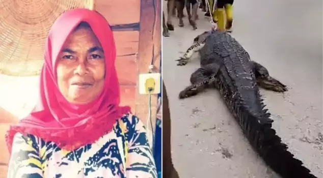 A giant crocodile in Indonesia ate an old woman washing dishes by the river.