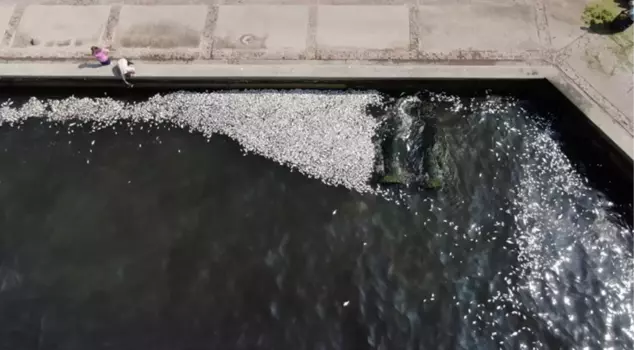 Warning signs have been hung to prevent fishing in Izmir Bay.