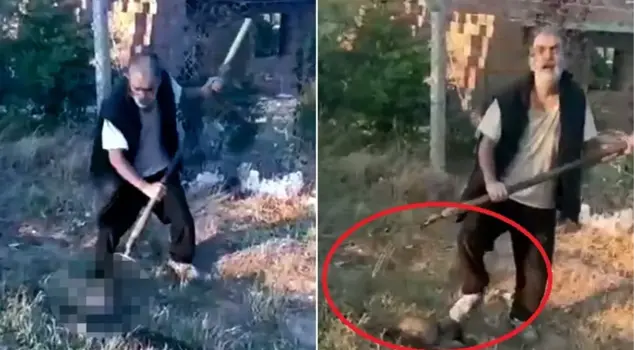 He killed the puppy by stabbing it with a pitchfork.