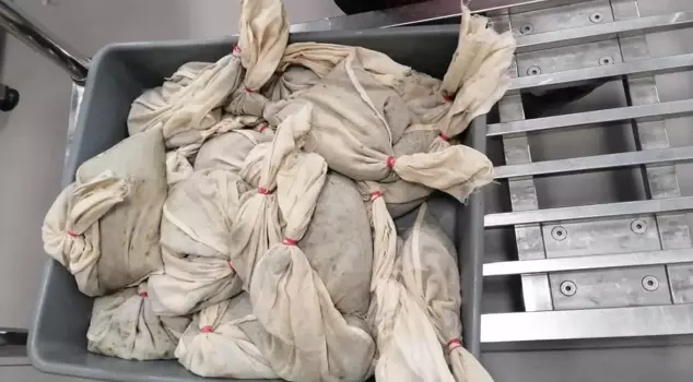 19 kg of live medical leeches were seized at Istanbul Airport.