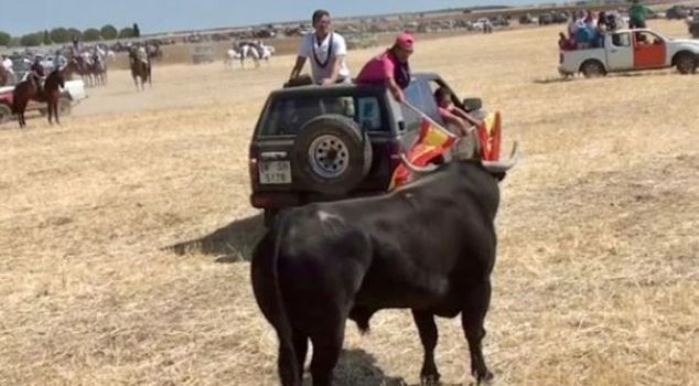 In Spain, during the bull running festival, a bull gored and killed a 20-year-old young man.