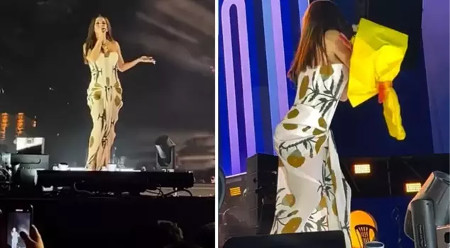 Singer Simge attacked on stage! They first threw flowers and then a phone at her face.