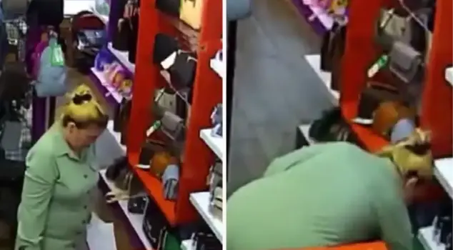 The woman who calmly entered the shop stole the bag from the shelf in the blink of an eye.