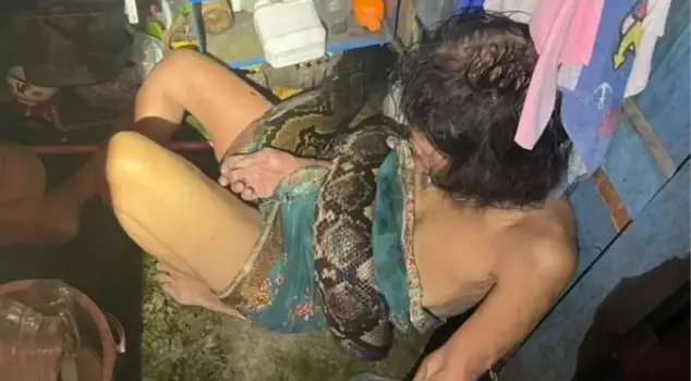 A 64-year-old woman in Thailand was attacked by a 4-meter python while washing dishes in the kitchen.