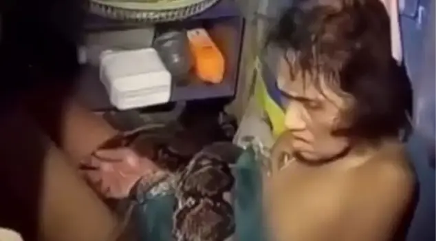 She fought for hours with a python that was trying to suffocate her! The moment the elderly woman was rescued was captured on camera.