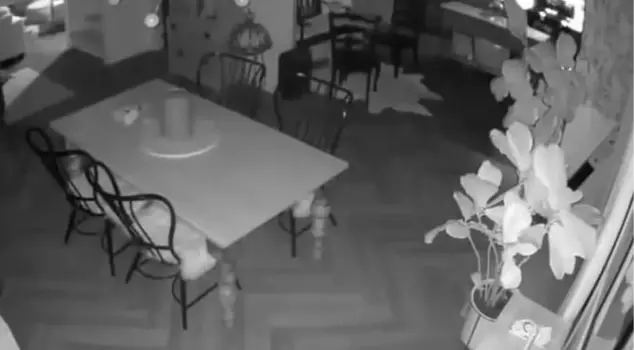 On the anniversary of his death, a woman was shocked to see her husband's ghost on the security camera.