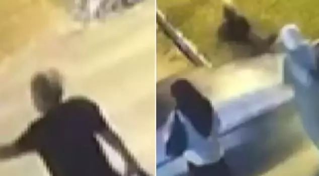 Despite signaling to stop, he ran over it! He went to his death right before our eyes.
