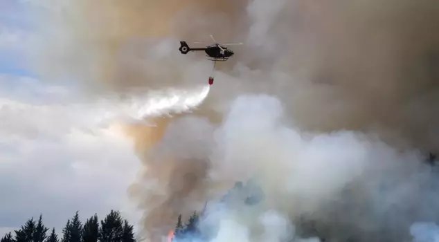 A state of emergency has been declared in Ecuador due to a forest fire.