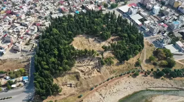 Two types of wheat that are 9,000 years old have been discovered at Yumuktepe Mound.