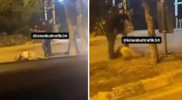 The thugs won't slow down! They beat the man they were arguing with over a traffic signal to a pulp.