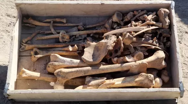 A 5,000-year-old skeleton was found during excavation work in Burdur.