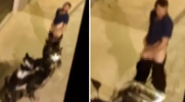 A person in Beyoğlu masturbated in the middle of the street.